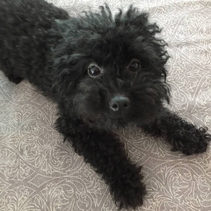 75d61b2c 6605 4279 978f 94e69928df99