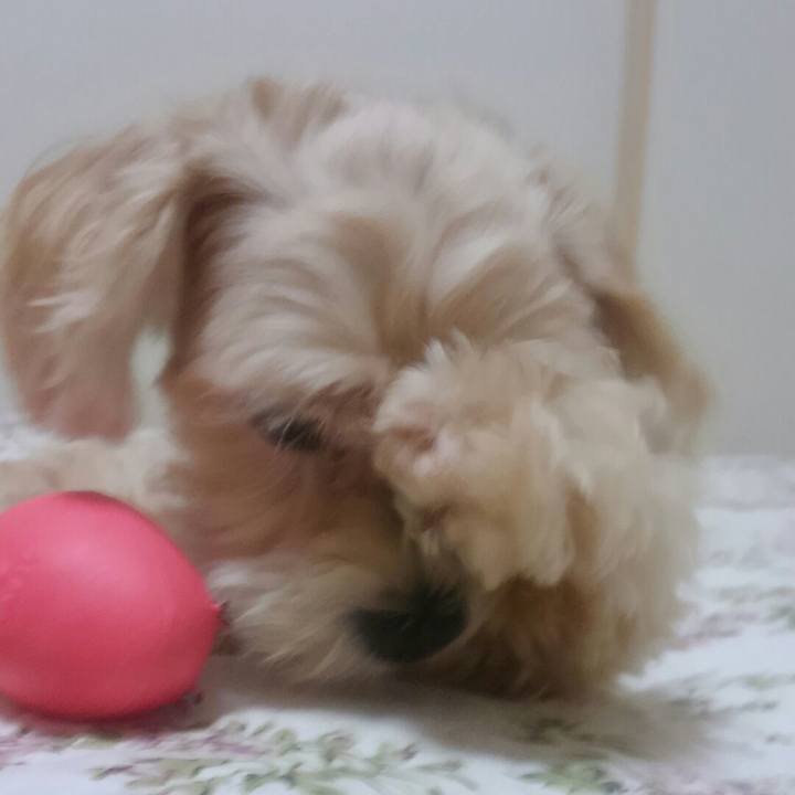 75d6c1dd 8c3f 4648 831c b3e5bcbdebb8