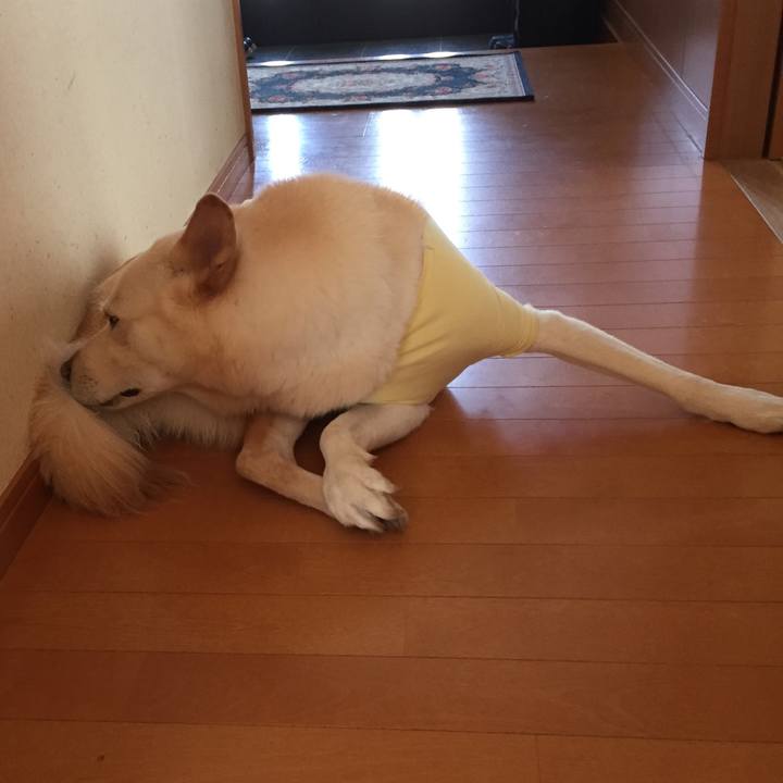 75d6d90c 893a 443e 999e f96ced9be6d9