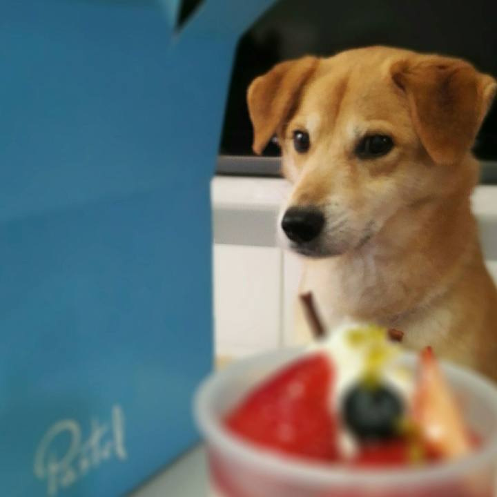 75d8a431 df47 47f1 85ea 99d50e2d5560