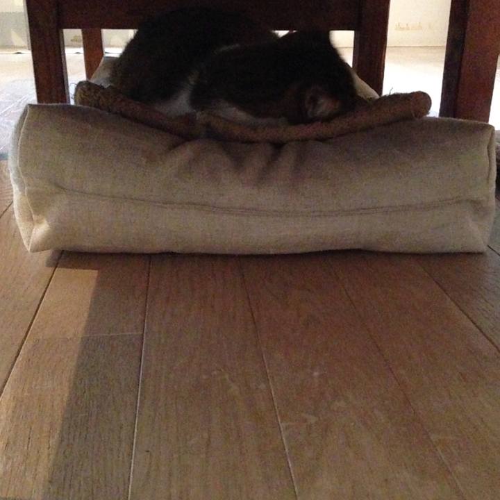 75d8d0f6 937b 432e a7b9 b1bec596ca09