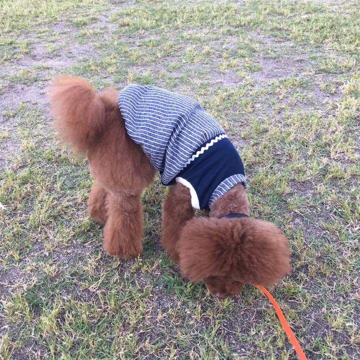 75d8e0c4 e828 41de 8069 aec43ce0f15b