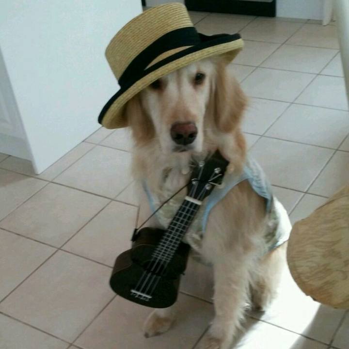 75d91caa b2d4 4a2e 9136 8b1051e71e20