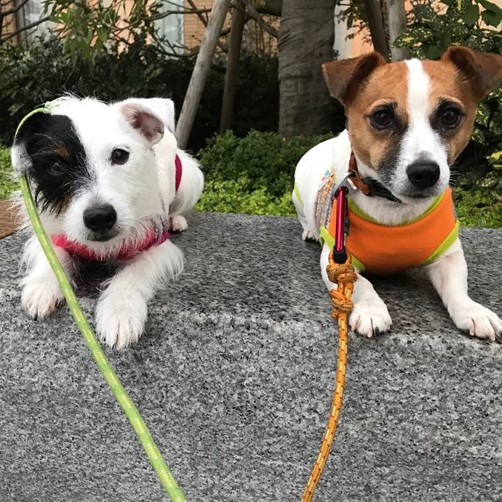 75d9e983 2162 45c5 8ba8 da6a03f8d579