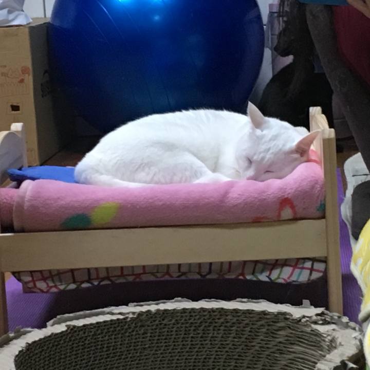 75da79a8 86c7 4c14 aaca 1fce689a36fd