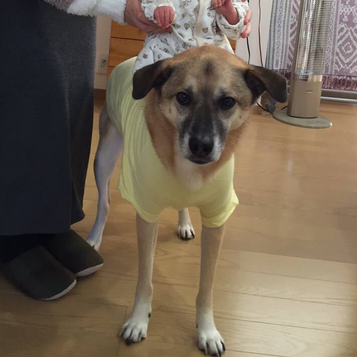 75da87a5 92a1 4d07 89b8 2014fb622ba6