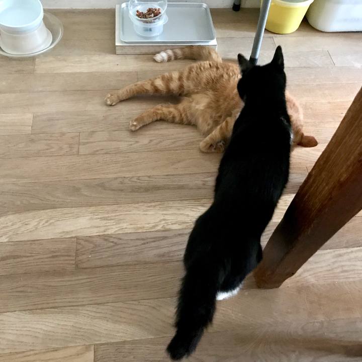 75db3e15 6165 45db 9ad1 a71282fdc8f8