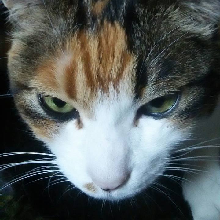 75db548d 97c7 4a58 9f3a a03344c2566b