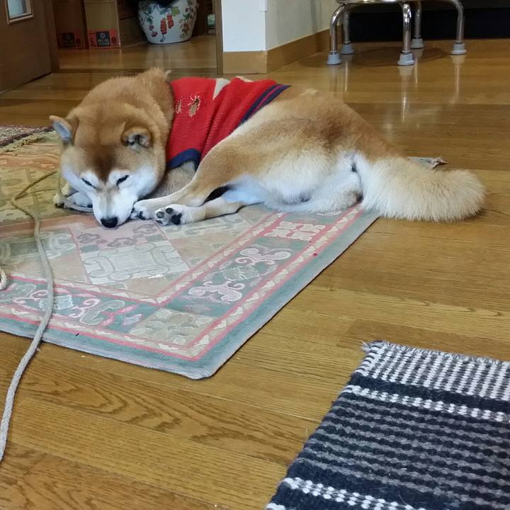 75dbfc8b b5ad 4c08 b0b7 c44783100136