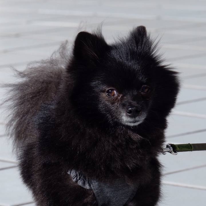 75dc3309 2943 40f4 94a8 22fee15148cd