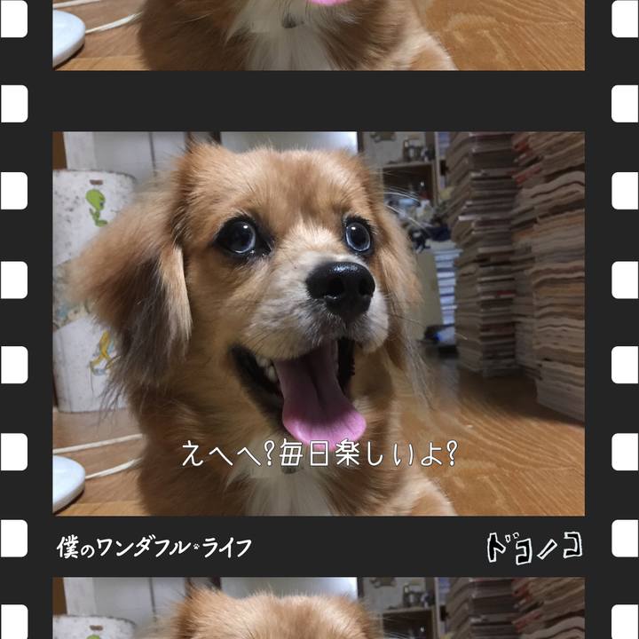 75dc71bc d010 48c1 8e2a 4a4354de2b38