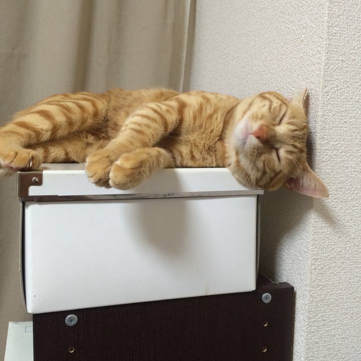 75dd1065 ffec 4811 9074 f0506fdf5f4c