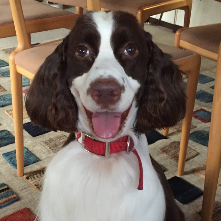 75dd263f 4fdb 4310 8c2b 6c02c5b30a2f