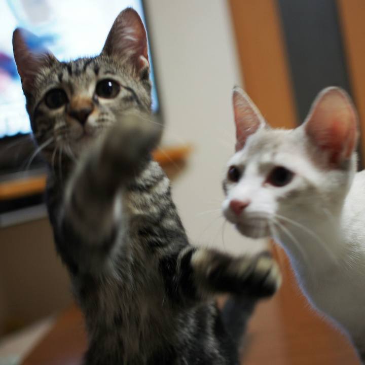 75dd2aca 5d51 43aa b344 cd97f3754334