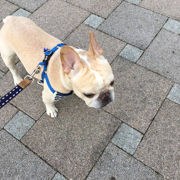 75dd5365 194b 40bf a279 7642932aa35c