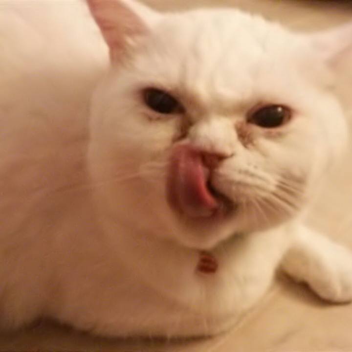 75dd79d6 5e58 4179 b1d4 43a1e05e19a0