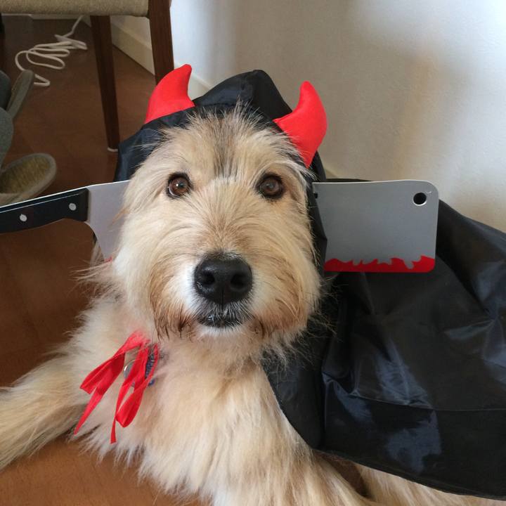 75de0fb1 bf04 496f 83ca aec71096588c