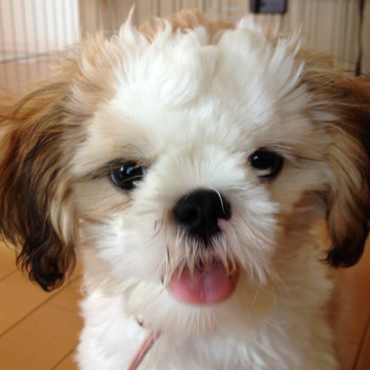 75de29b3 496c 42c3 807a bf144a6f74e7