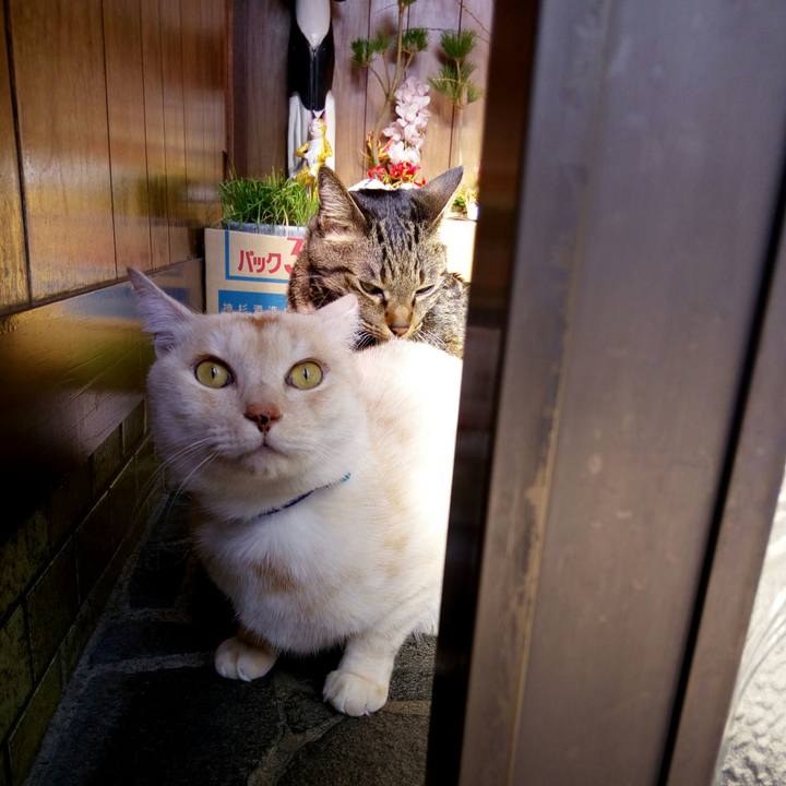 75de3517 2653 4c84 9e95 ca0957d67e94