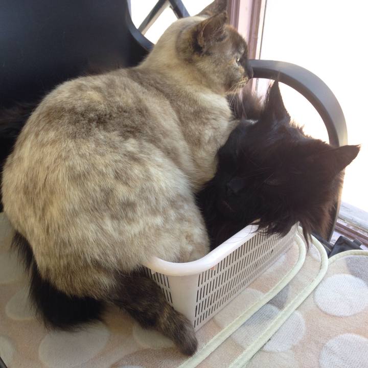 75de3750 7b38 498b a099 c283da7a8998