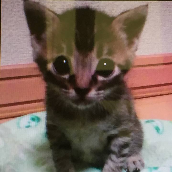 75dec8ef 3a49 4331 893c 09845d349f19