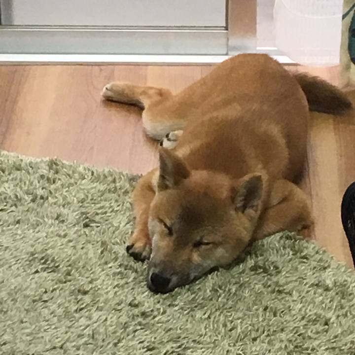 75df93a9 8569 48e9 9a60 c94c94d33b79