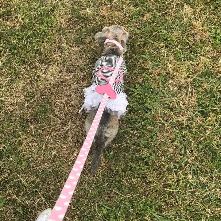 75df9a9b 0246 478d a57a 8b9d57c76a11