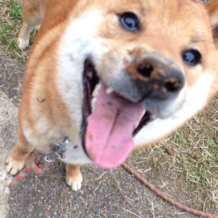 75e00da1 e785 4e25 8131 13f14c46702e