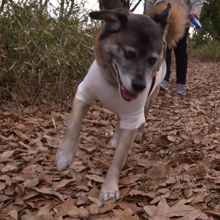 75e02994 5018 45a1 adcc 9e6b52573c5f