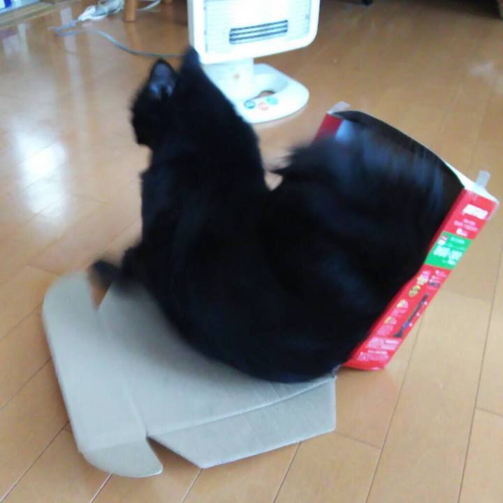 75e09092 f778 427e bbf4 b5ddfca52842