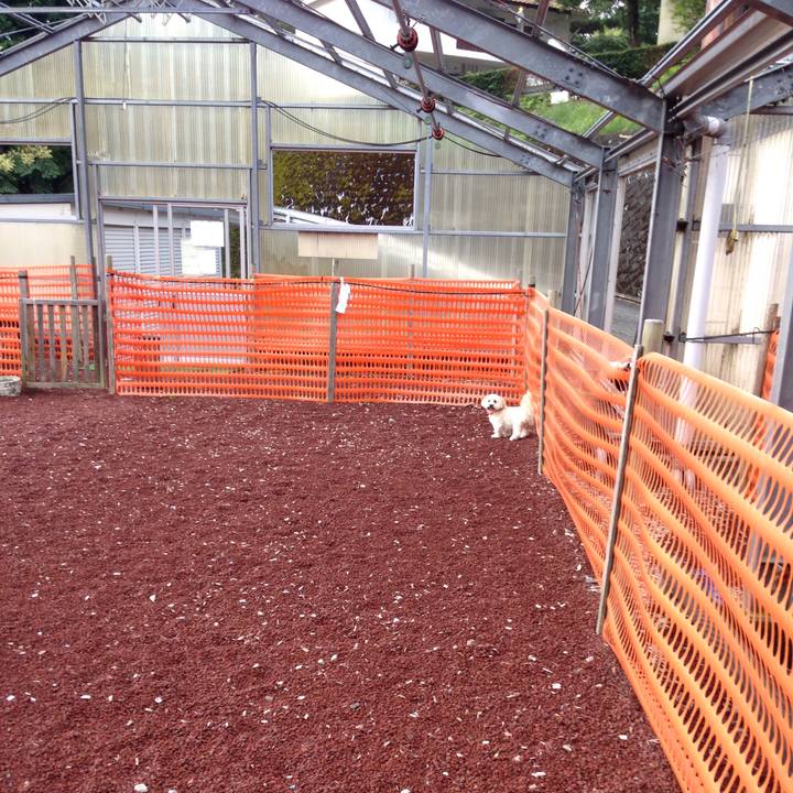 75e25f94 21c0 4c43 88fc 47aba46ab4ff