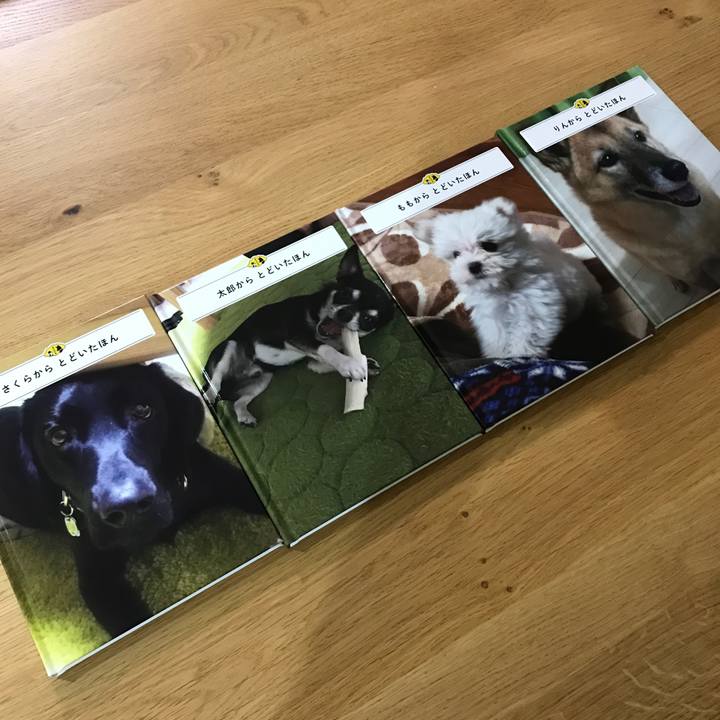 75e35423 ebce 4f34 84e3 c0079a04bf59