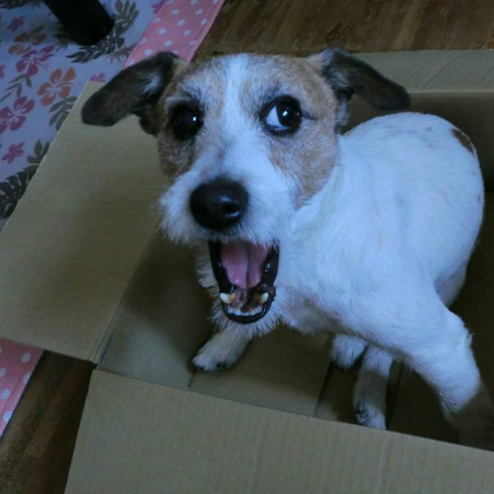 75e4159d 4bb4 4bc9 9259 9ece3f2cc980