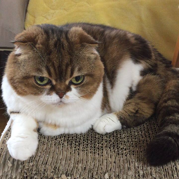 75e41974 a432 44cf ba9d fd52b43508a7