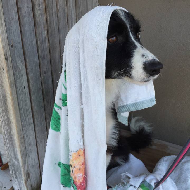 75e41db8 d46e 4a86 97b2 5afaae428c10