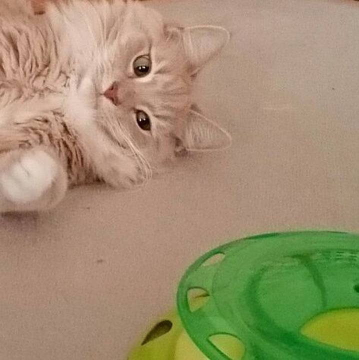 75e4f415 0057 4d9f b8e2 a723160090b5