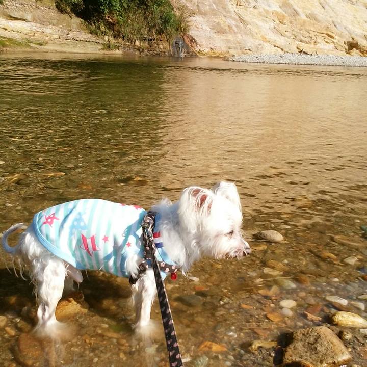 75e54ae5 125b 430b 862e b1b8d74a29a9