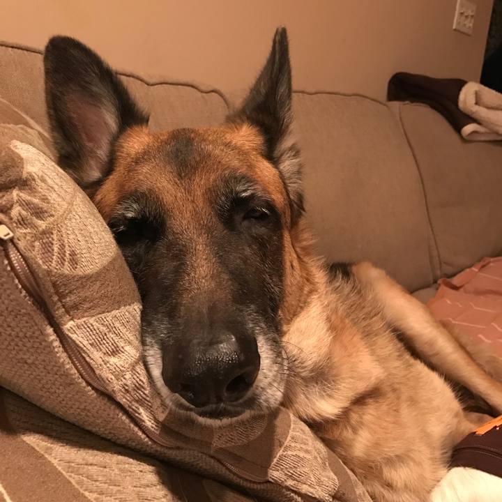 75e57fe8 a1ba 436e 992b 999425d86dee