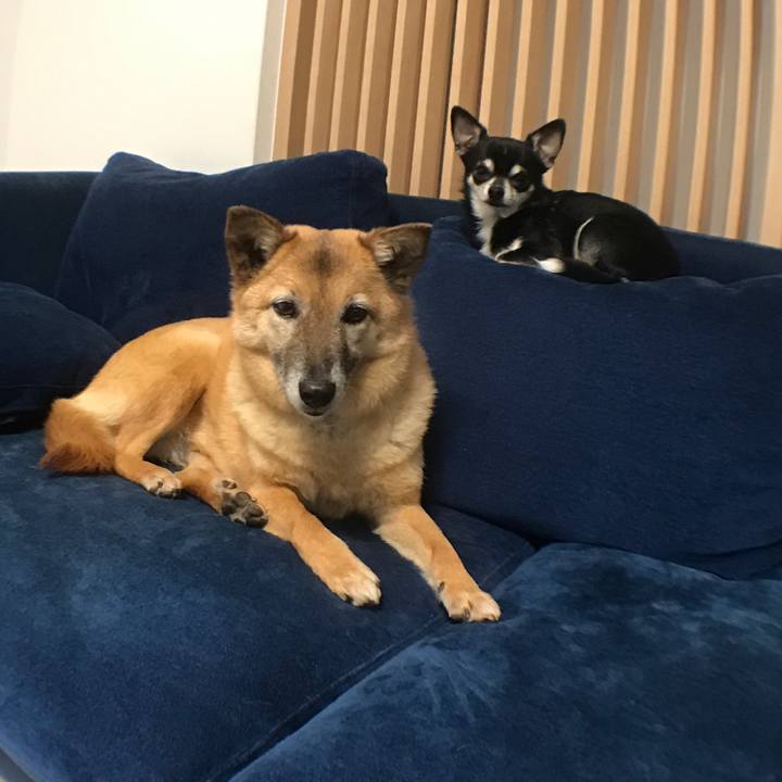 75e5be3b 0608 4c20 a29a dc8cba16a5e5