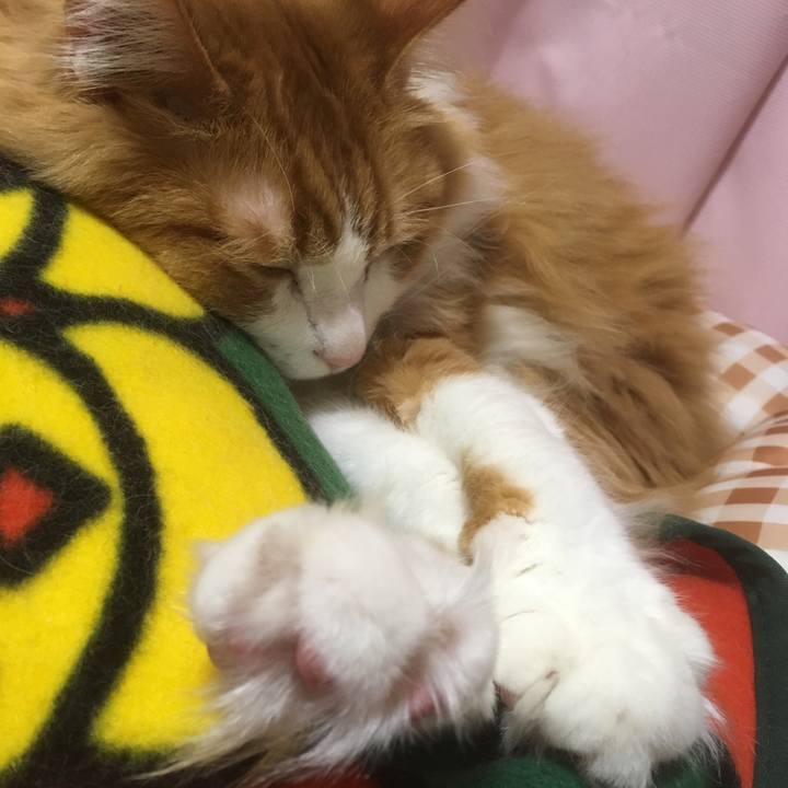 75e6c401 2712 44a3 9b92 593dc59b4476