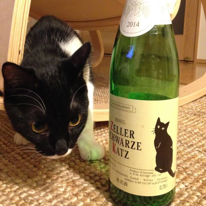 75e6f18f a449 438d 87fb dc072c45a9de