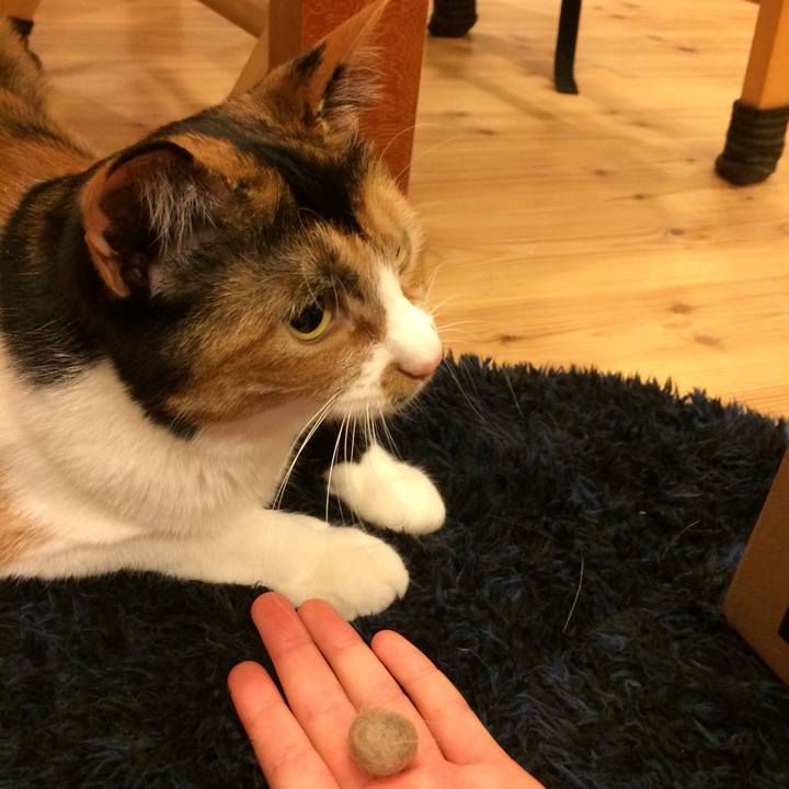 75e76c2f cf76 4277 a8d8 19265af02ab9