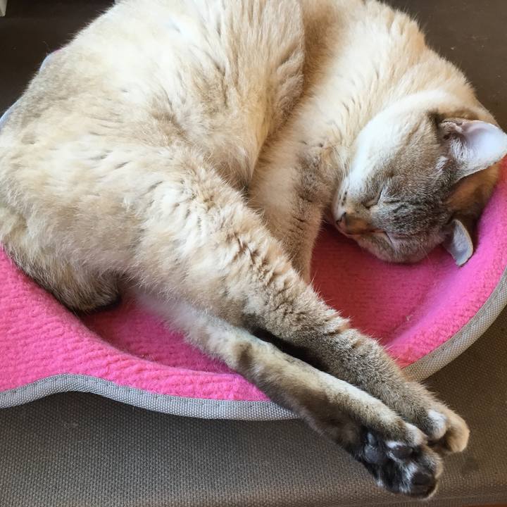 75e7c47b b020 4f86 a40c 23311a07006b