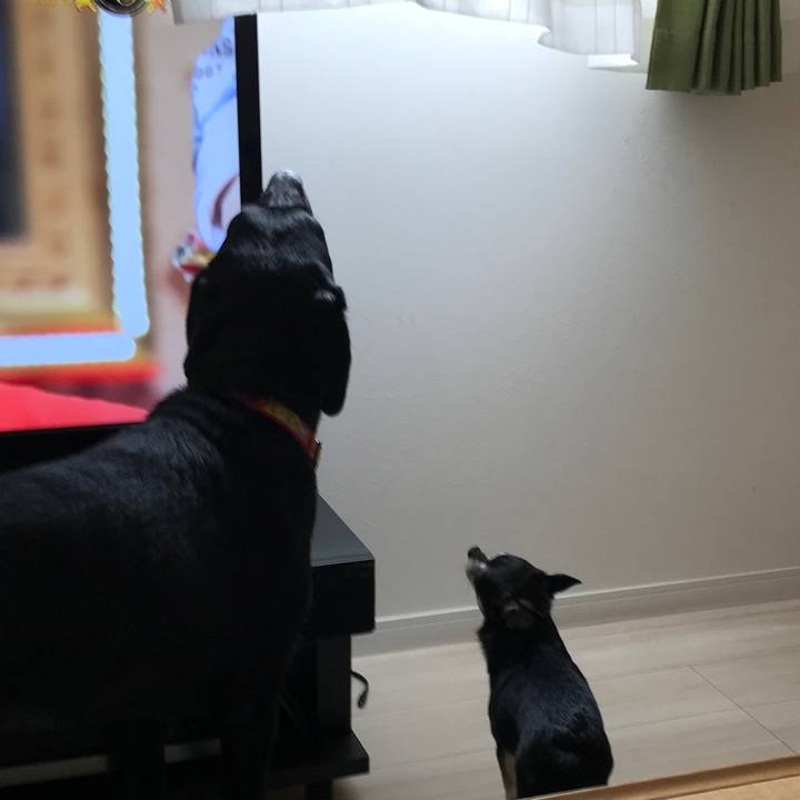 75e81783 4db4 47bf b058 38e093ac1e6d