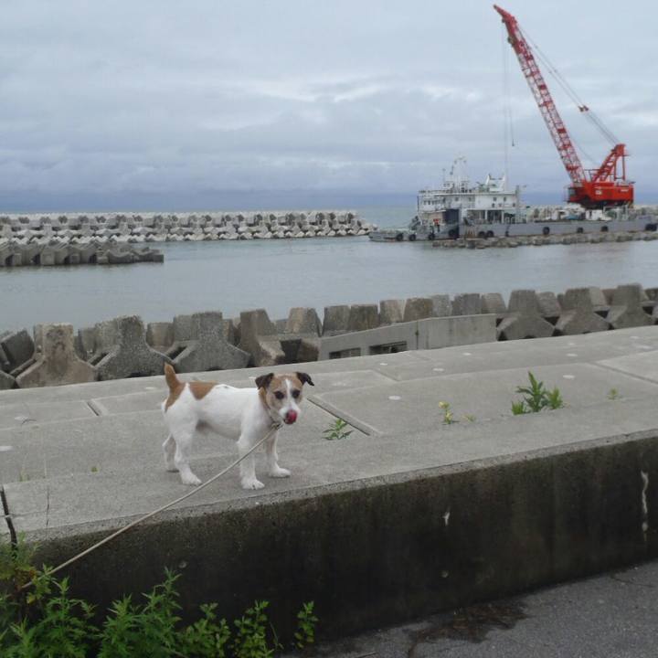 75e8a016 260f 49dc 8dd7 5e2288d73728