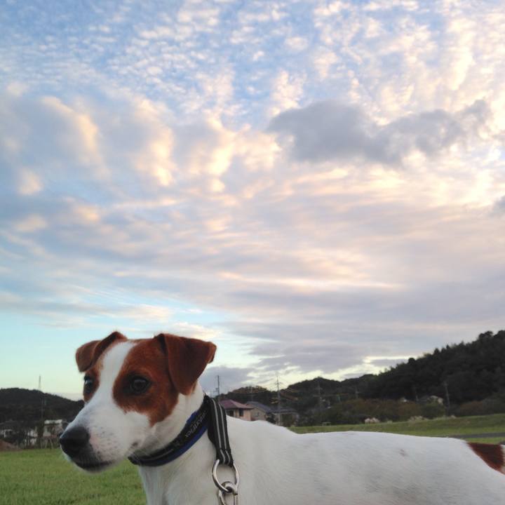 75e8a154 825a 4ca1 9fc2 7acdde62031a