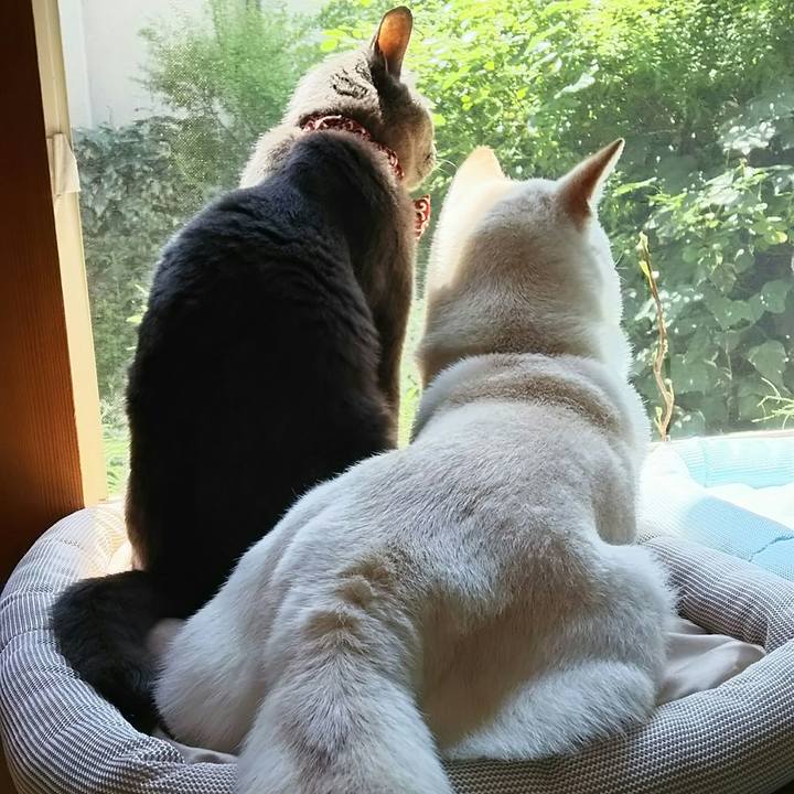 75e8edb2 4a9a 46e7 b0ae fcc729d7cb26