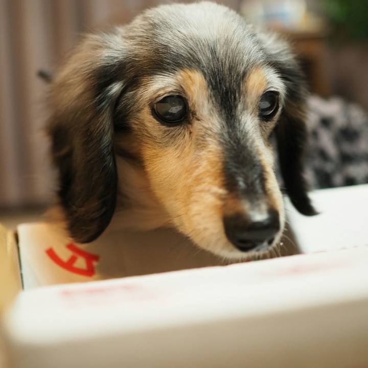 75e8f751 d63b 4756 b44c 159522539212