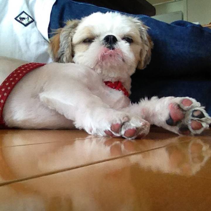 75e99fb0 669a 497e 9a01 a7e3d859f504