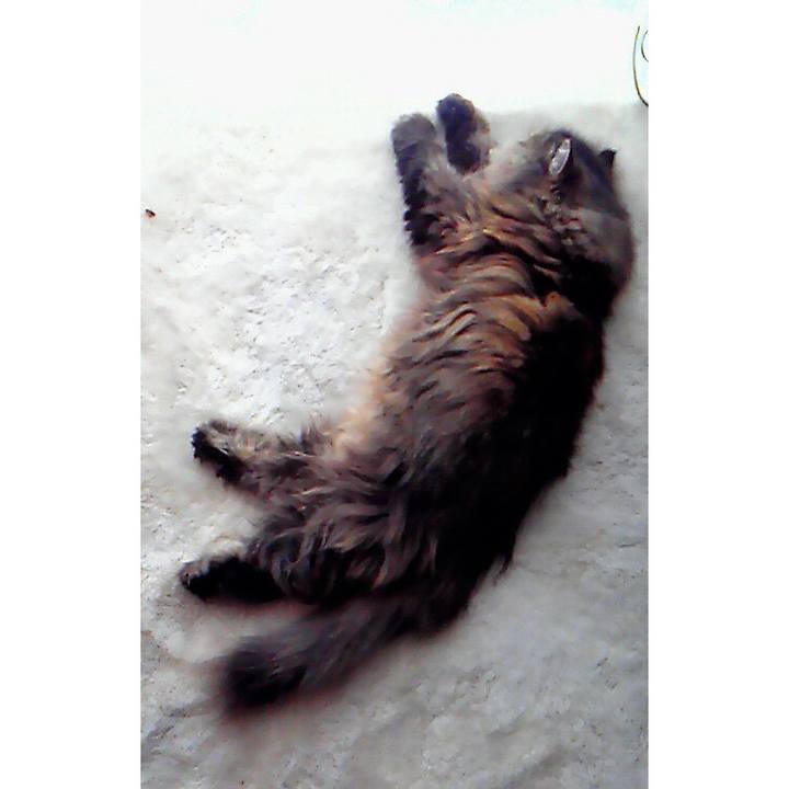 75ea1795 3243 4ed1 9451 96fc4a6db862